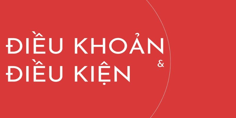 Tầm quan trọng không thể thay thế của điều khoản điều kiện ABCVIP 